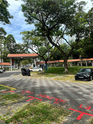Blk 460 Teck Ghee Grandeur (Ang Mo Kio), HDB 4 Rooms #516202261
